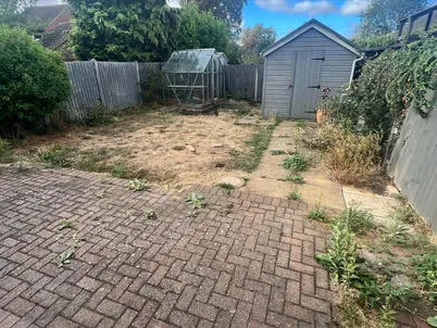 Overgrown garden before clearance and landscaping